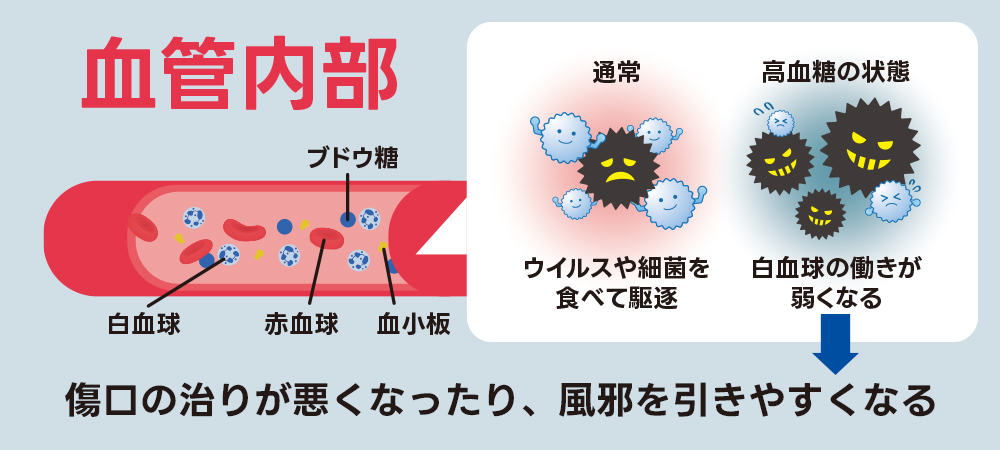白血球の機能が低下する