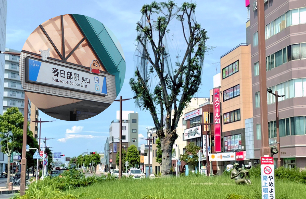 春日部エリア